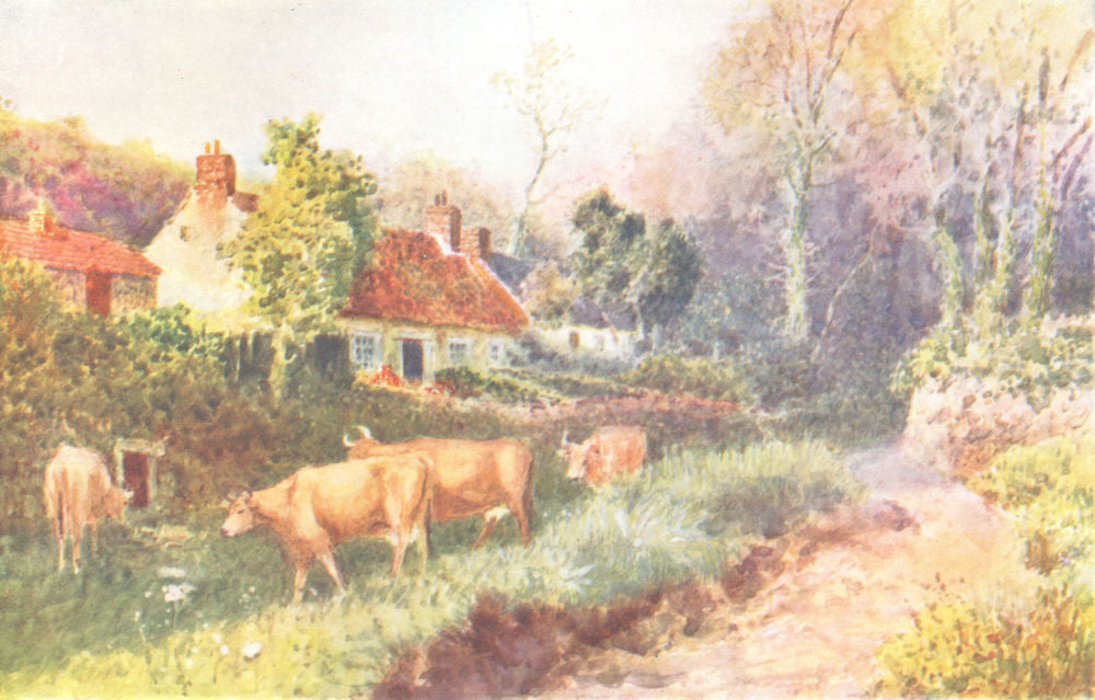 CHANNEL ISLANDS. Farmhouse, Guernsey 1904 old antique vintage print picture